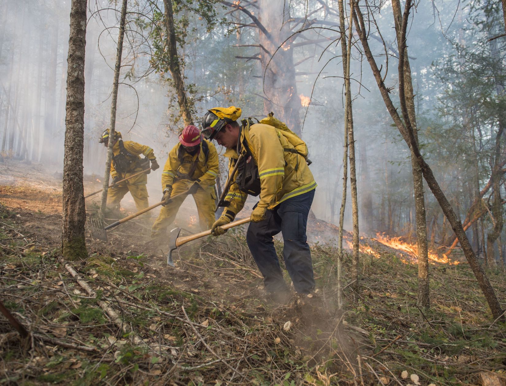 California Wildfires